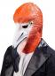 Mobile Preview: Maske Flamingo