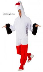 Storch